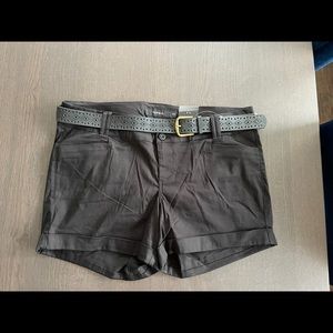 Torrid Black Belted Sateen Shorts